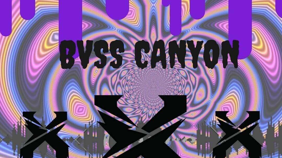 Bass Canyon 2018 Review Rave Blog