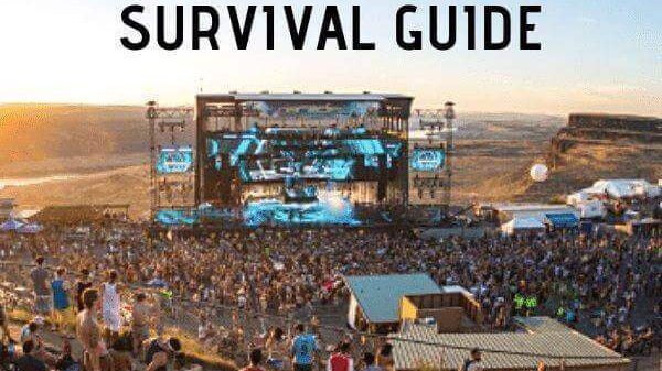 Paradiso Survival Guide 2019 Rave Blog