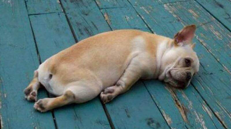 9 Unconventional Self-Care Tips For When You’re Feeling Meh Rave Blog