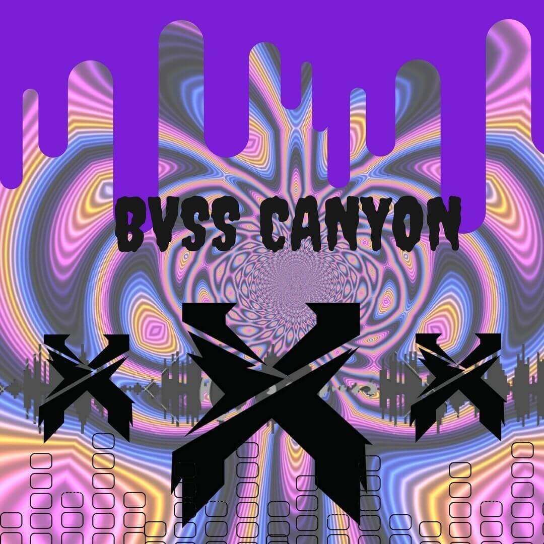 Bass Canyon 2018 Review Rave Blog