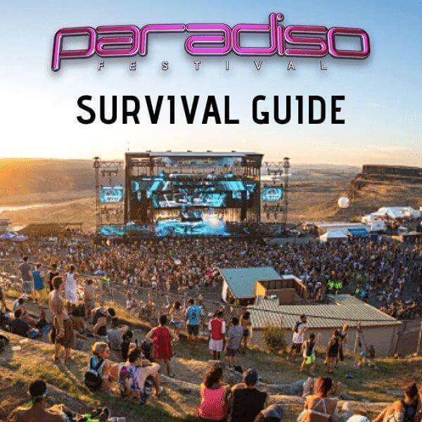Paradiso Survival Guide 2019 Rave Blog