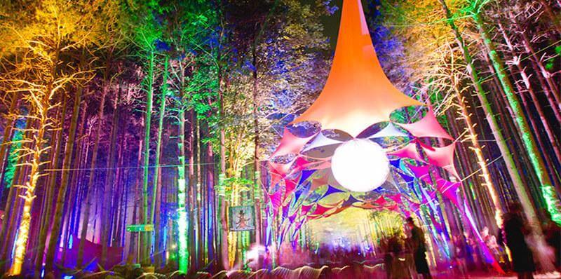 Electric Forest 2020, The Lost Year Rave Blog